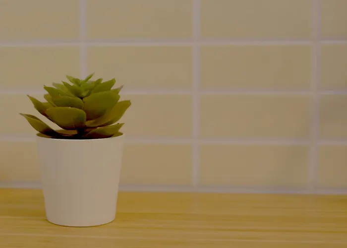 Ocean Home - No Stress Holidays *